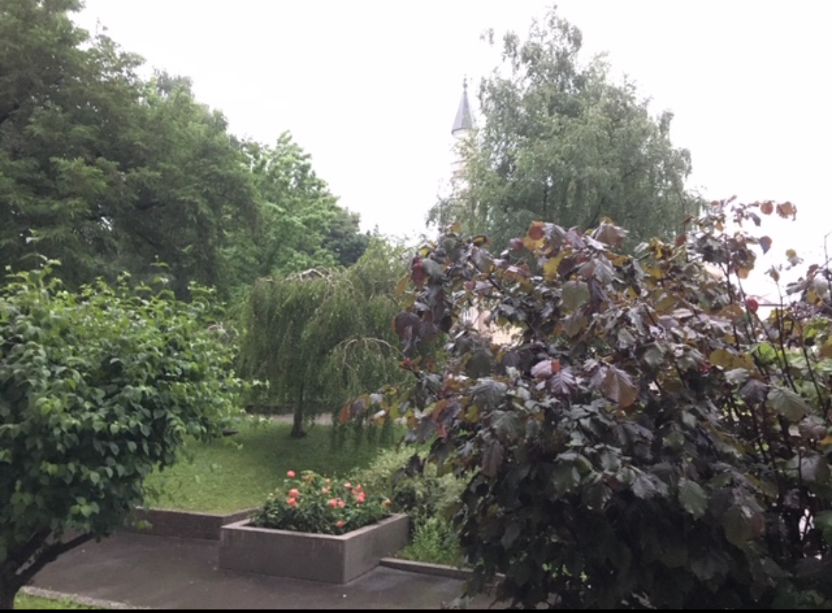 Vue sur les espaces verts depuis le balcon